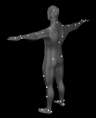 Tpose_PluginGaitFull_1