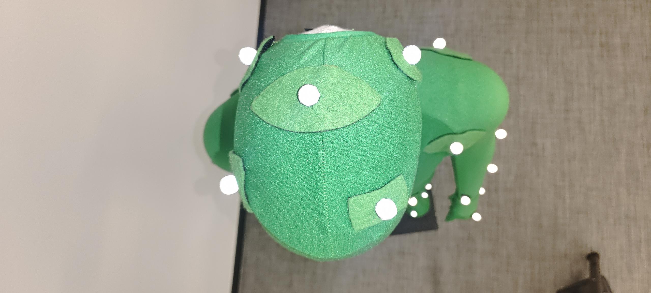Top Front View of the Head