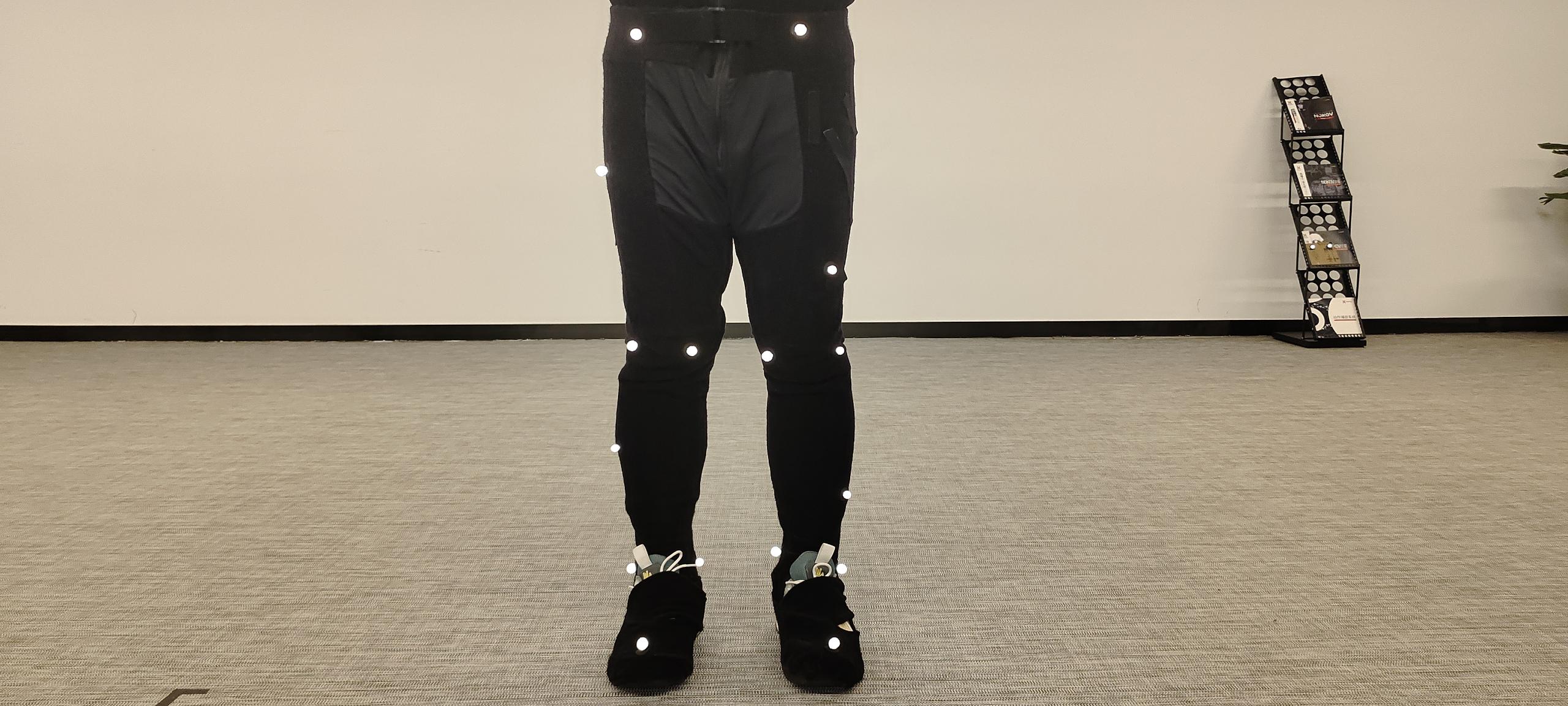 Front view of the leg