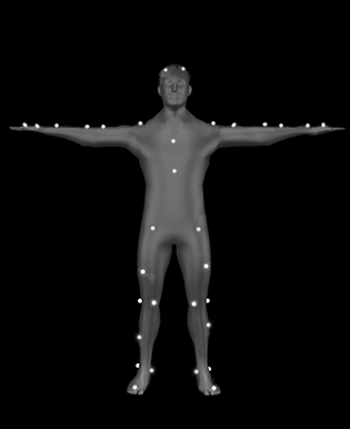Tpose_PluginGaitFull_0
