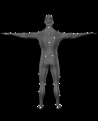 Tpose_PluginGaitFull_2