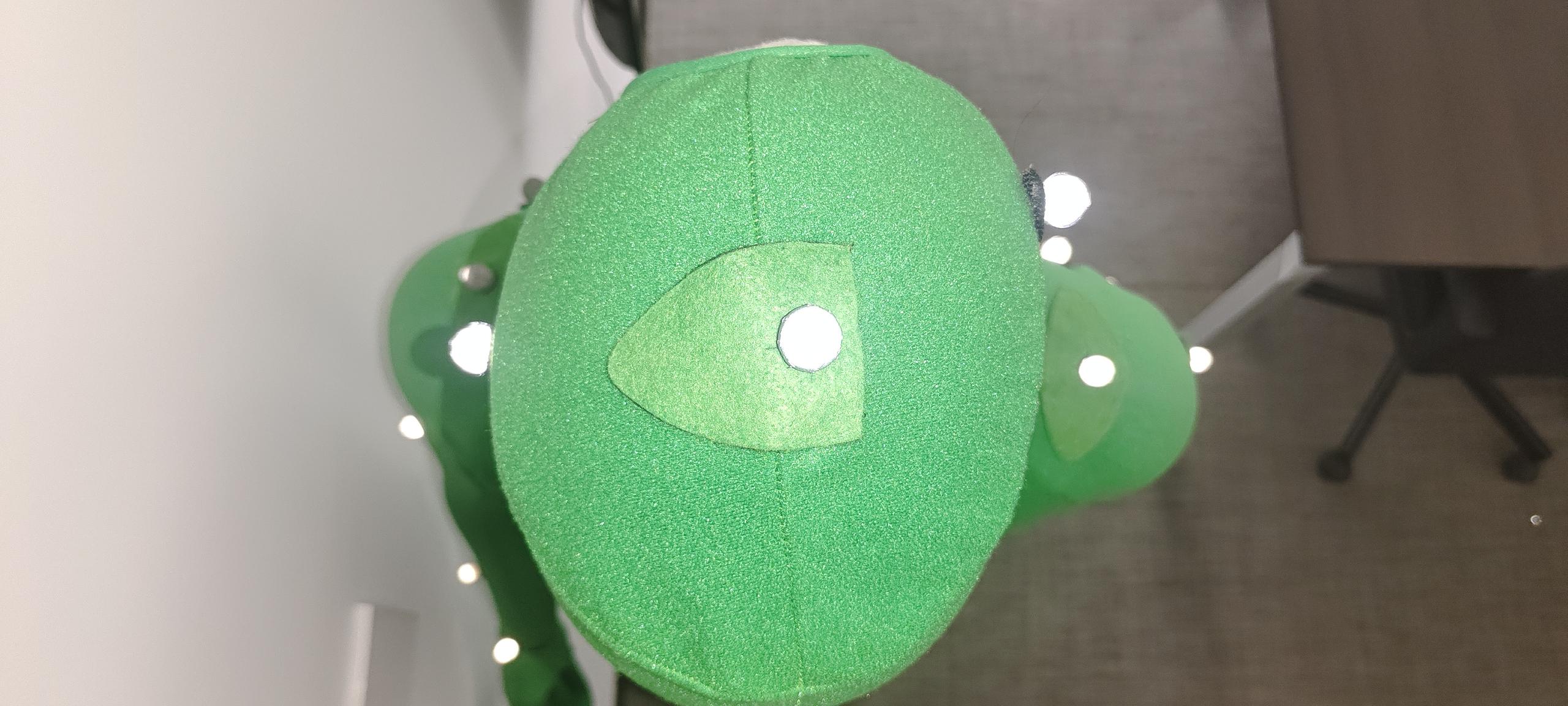 Top view of the head