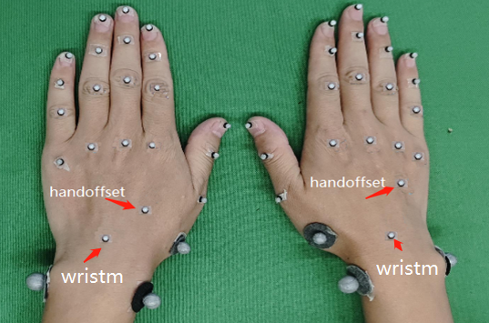 5.Finger Marker Point Instructions | NOKOV DOCS